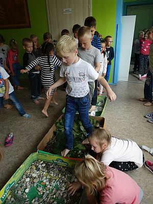  Grafika #46: Najmłodsi poznają świat zmysłami - ścieżka sensoryczna