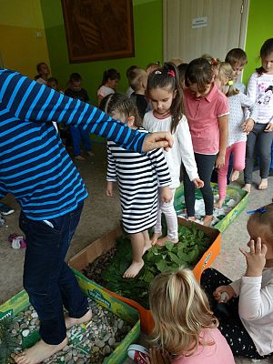  Grafika #47: Najmłodsi poznają świat zmysłami - ścieżka sensoryczna