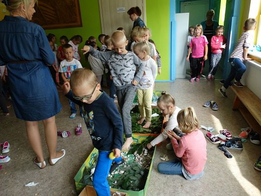  Grafika #49: Najmłodsi poznają świat zmysłami - ścieżka sensoryczna