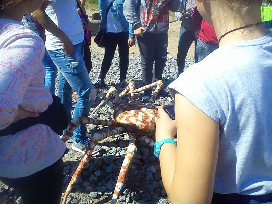 Grafika #5: Wycieczka klasy IV do Ocean Parku we Władysławowie