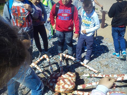 Grafika #6: Wycieczka klasy IV do Ocean Parku we Władysławowie