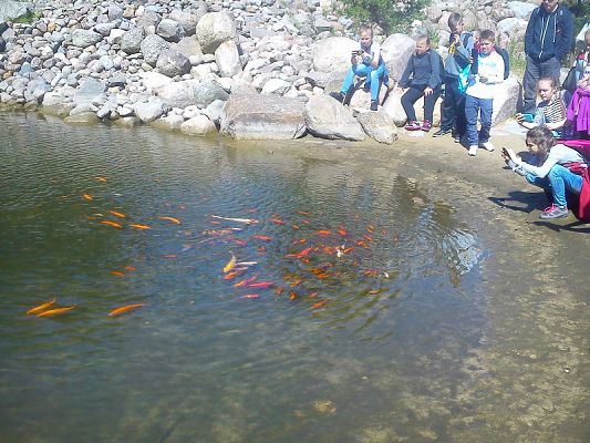 Grafika #9: Wycieczka klasy IV do Ocean Parku we Władysławowie