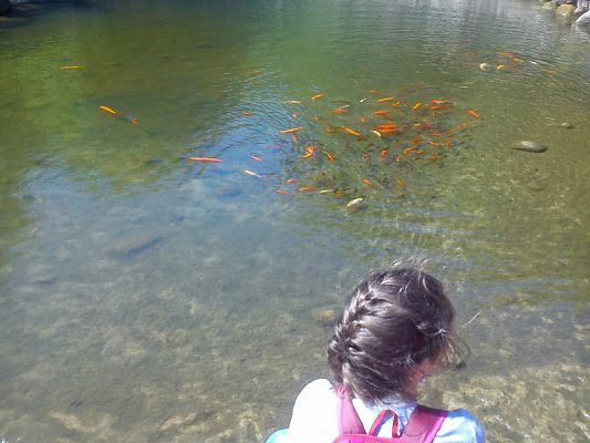 Grafika #11: Wycieczka klasy IV do Ocean Parku we Władysławowie