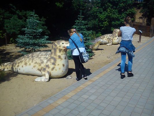 Grafika #12: Wycieczka klasy IV do Ocean Parku we Władysławowie