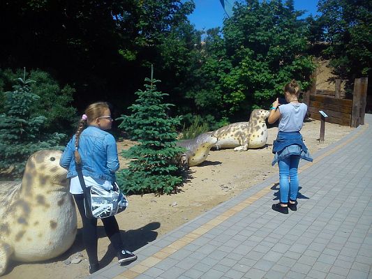 Grafika #13: Wycieczka klasy IV do Ocean Parku we Władysławowie