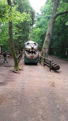  Grafika #21: Wycieczka do Parku Dinozaurów w Łebie