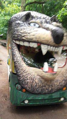  Grafika #22: Wycieczka do Parku Dinozaurów w Łebie