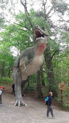  Grafika #27: Wycieczka do Parku Dinozaurów w Łebie