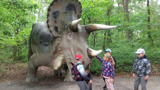  Grafika #29: Wycieczka do Parku Dinozaurów w Łebie