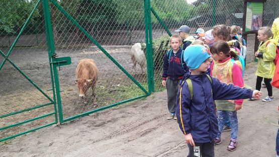  Grafika #30: Wycieczka do Parku Dinozaurów w Łebie