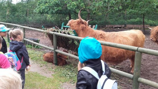  Grafika #32: Wycieczka do Parku Dinozaurów w Łebie