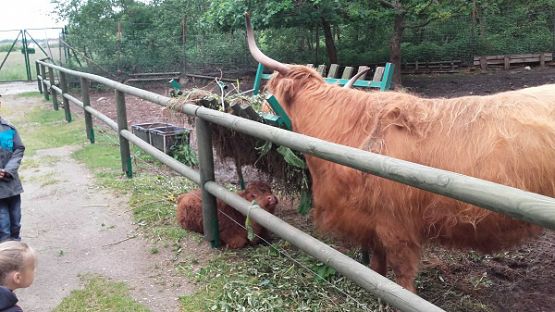  Grafika #33: Wycieczka do Parku Dinozaurów w Łebie
