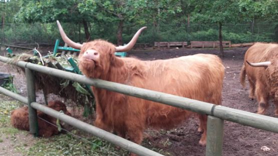  Grafika #35: Wycieczka do Parku Dinozaurów w Łebie