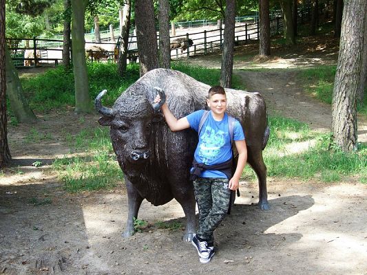  Grafika #29: Wycieczka kl. V i VI do ZOO