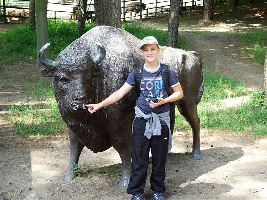  Grafika #30: Wycieczka kl. V i VI do ZOO