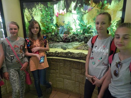  Grafika #11: Wycieczka kl. V i VI do ZOO