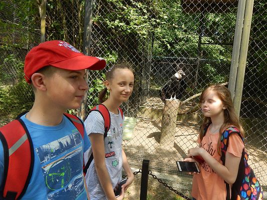  Grafika #14: Wycieczka kl. V i VI do ZOO