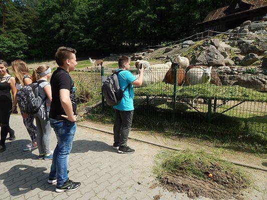  Grafika #21: Wycieczka kl. V i VI do ZOO