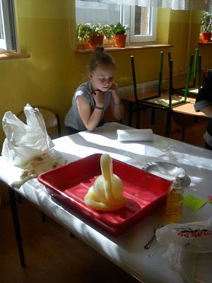  Grafika #9: Zakończenie zajęć naukowo - technicznych z projektu - Naukowy zawrót głowy