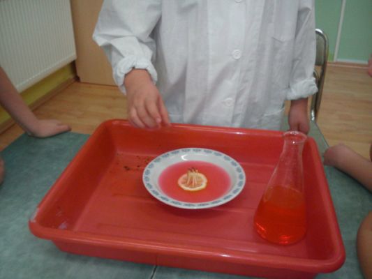  Grafika #17: Zakończenie zajęć naukowo - technicznych z projektu - Naukowy zawrót głowy