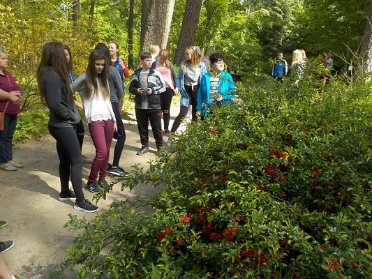  Grafika #3: Wycieczka kl. II g i III g do Olsztyna