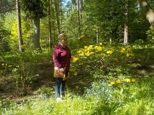  Grafika #4: Wycieczka kl. II g i III g do Olsztyna