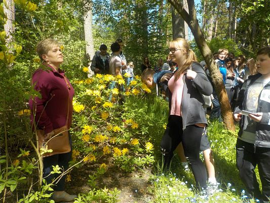  Grafika #5: Wycieczka kl. II g i III g do Olsztyna