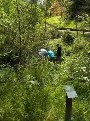  Grafika #6: Wycieczka kl. II g i III g do Olsztyna