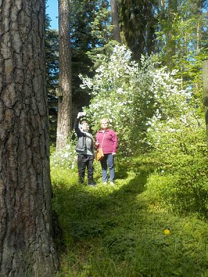  Grafika #7: Wycieczka kl. II g i III g do Olsztyna