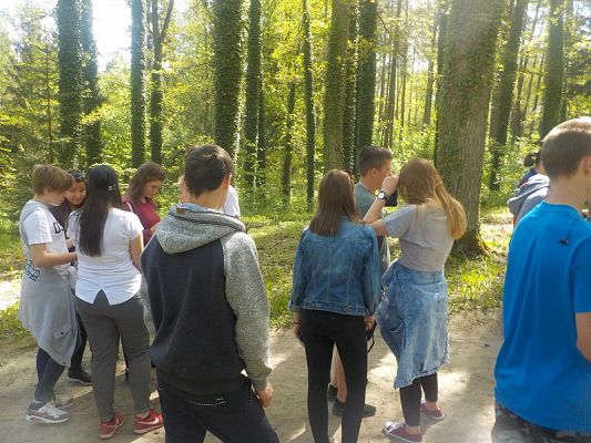  Grafika #9: Wycieczka kl. II g i III g do Olsztyna