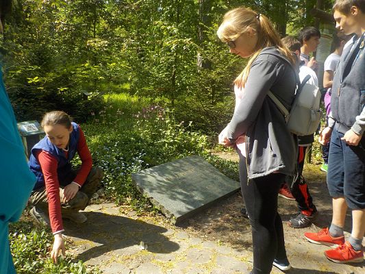  Grafika #10: Wycieczka kl. II g i III g do Olsztyna