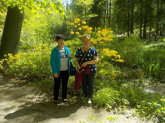  Grafika #12: Wycieczka kl. II g i III g do Olsztyna