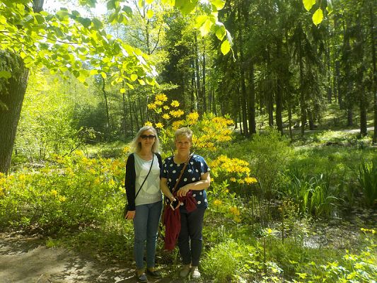  Grafika #13: Wycieczka kl. II g i III g do Olsztyna