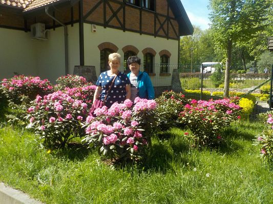  Grafika #14: Wycieczka kl. II g i III g do Olsztyna