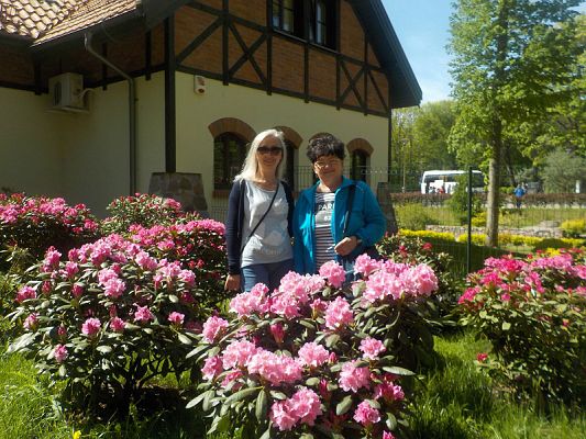  Grafika #15: Wycieczka kl. II g i III g do Olsztyna