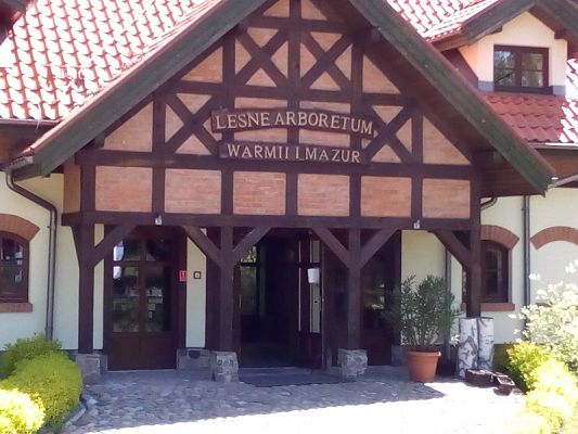  Grafika #63: Wycieczka kl. II g i III g do Olsztyna