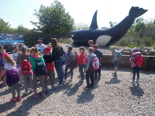  Grafika #1: Wycieczka klas III SP do Władysławowa