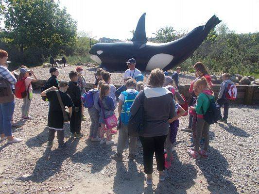  Grafika #2: Wycieczka klas III SP do Władysławowa