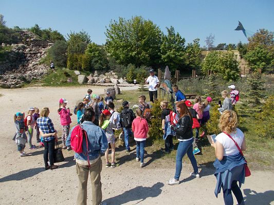  Grafika #10: Wycieczka klas III SP do Władysławowa