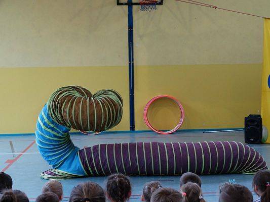  Grafika #24: Występy cyrkowe w naszej szkole
