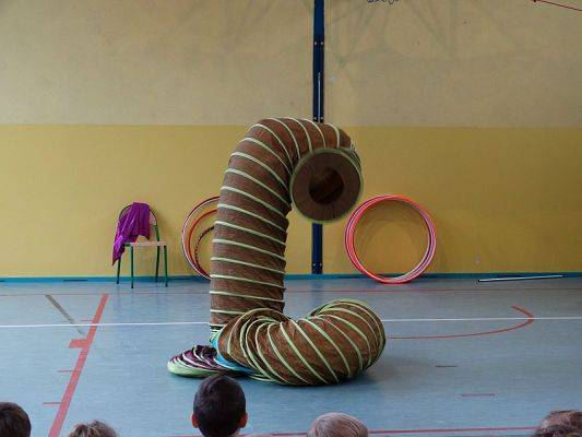  Grafika #25: Występy cyrkowe w naszej szkole