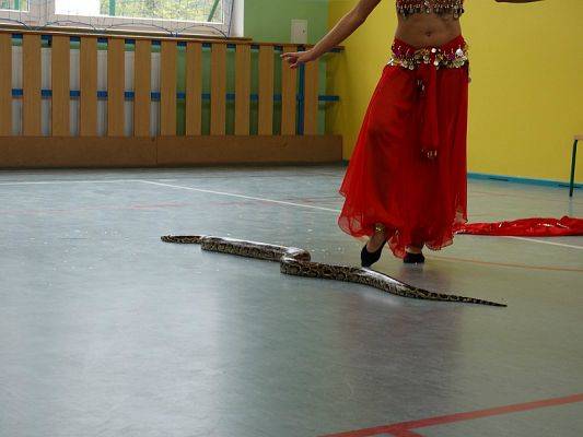  Grafika #97: Występy cyrkowe w naszej szkole