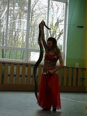  Grafika #99: Występy cyrkowe w naszej szkole