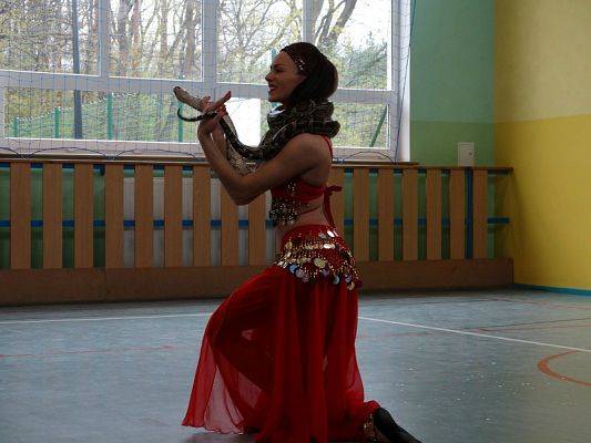  Grafika #102: Występy cyrkowe w naszej szkole