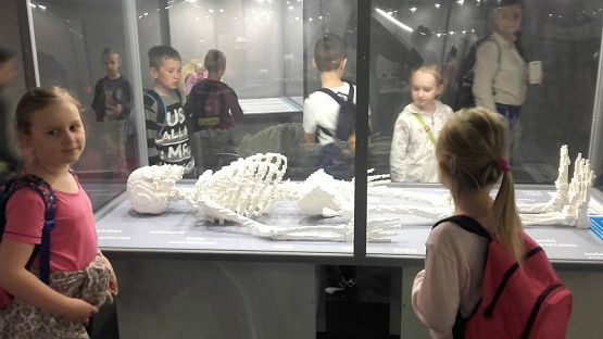 Grafika #6: Wycieczka na wystawę budowli z klocków LEGO