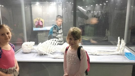 Grafika #7: Wycieczka na wystawę budowli z klocków LEGO