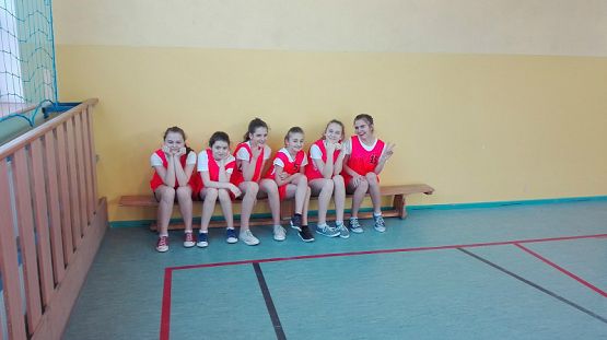 Grafika #2: Zawody sportowe w piłkę koszykową szkół podstawowych