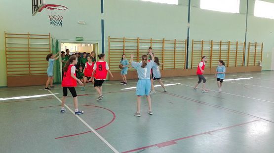 Grafika #3: Zawody sportowe w piłkę koszykową szkół podstawowych