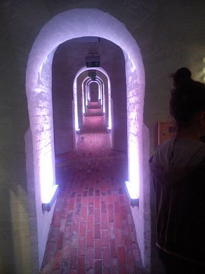  Grafika #3: Wycieczka do Centrum Hewelianum w Gdańsku