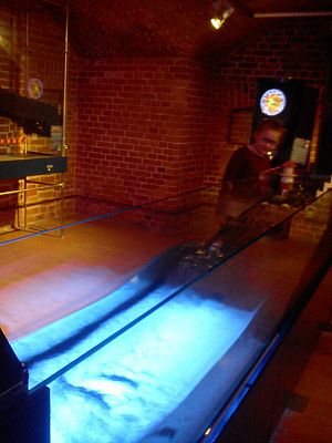  Grafika #19: Wycieczka do Centrum Hewelianum w Gdańsku